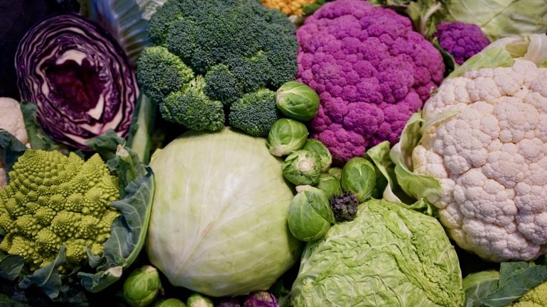 Tabu bei Bauchspeicheldrüsenentzündung: Kohl Tabu bei Bauchspeicheldrüsenentzündung: Kohl